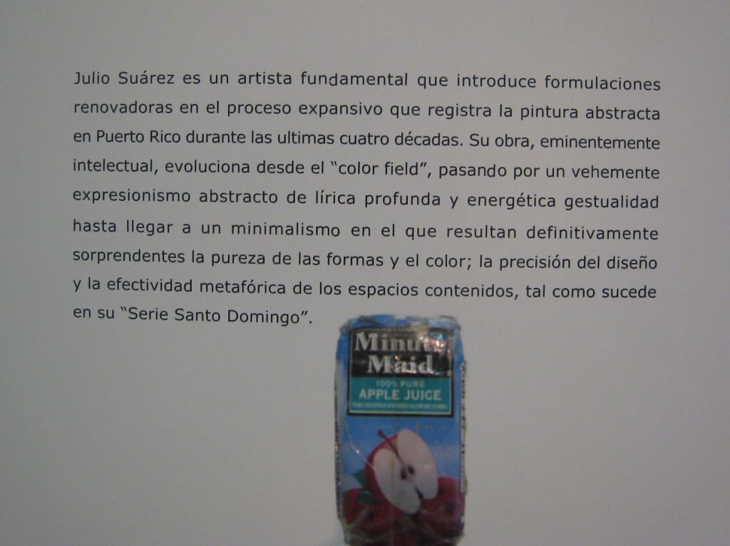 Dr Sto Dgo Museum Modern Art 07