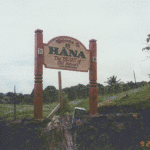 Hi Hana 02