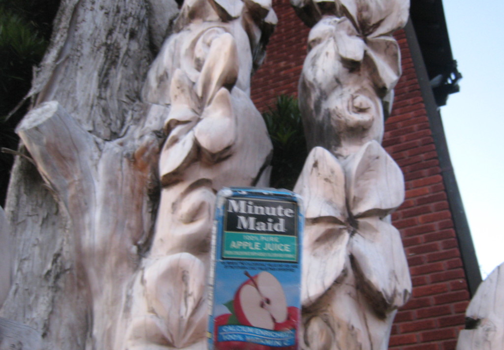 Tx Galveston Tree Sculpture 4558