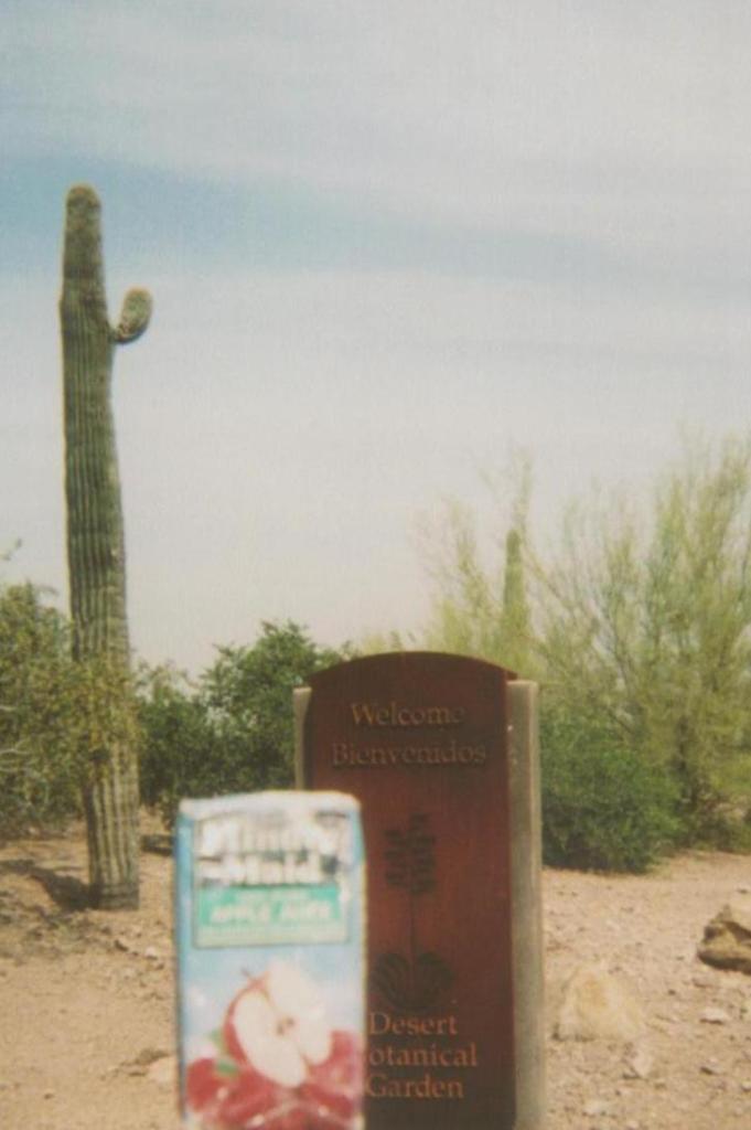 az-phoenix-botanical-garden-006-681x1024