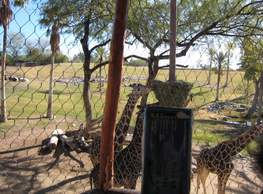 az-phoenix-zoo-00241-e1418337545542