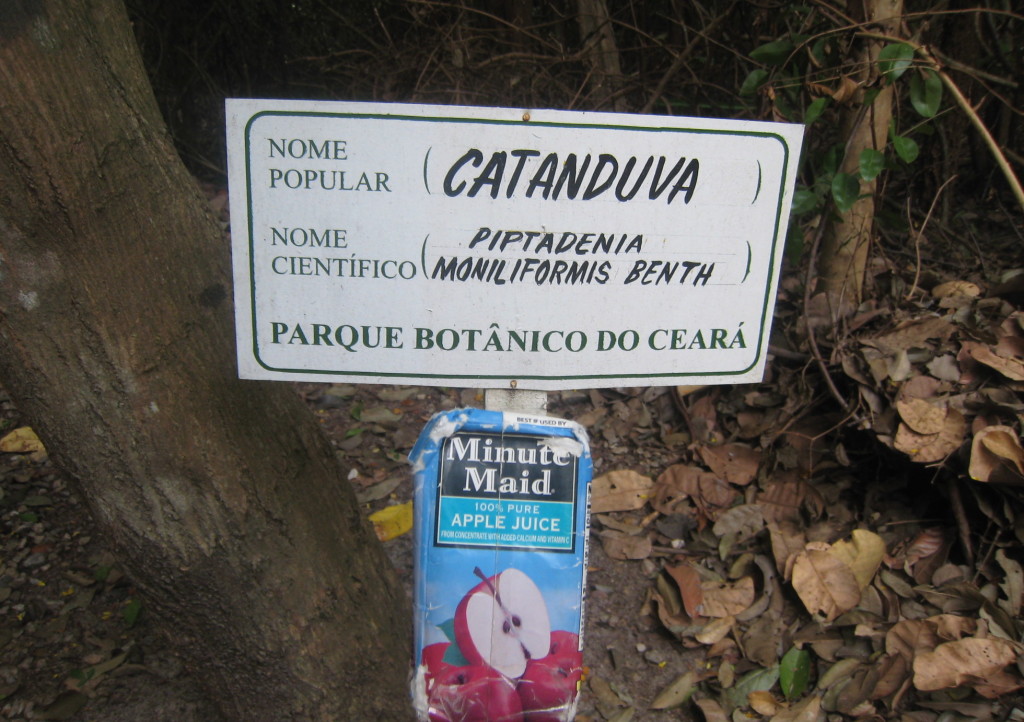 Bra Caucaia Botanical Park 0817