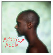 name-adams-apple