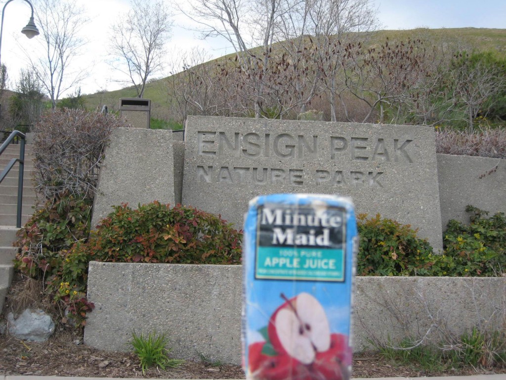 ut-slc-ensign-peak-sign-02