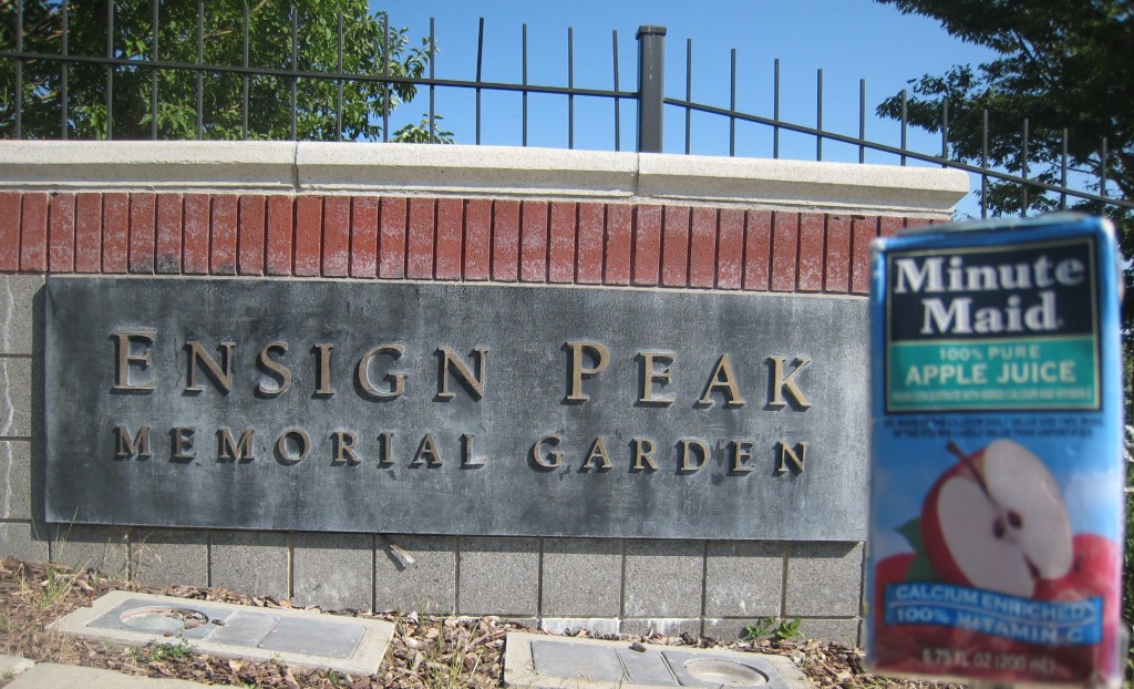 ut-slc-ensign-peak-sign-2312